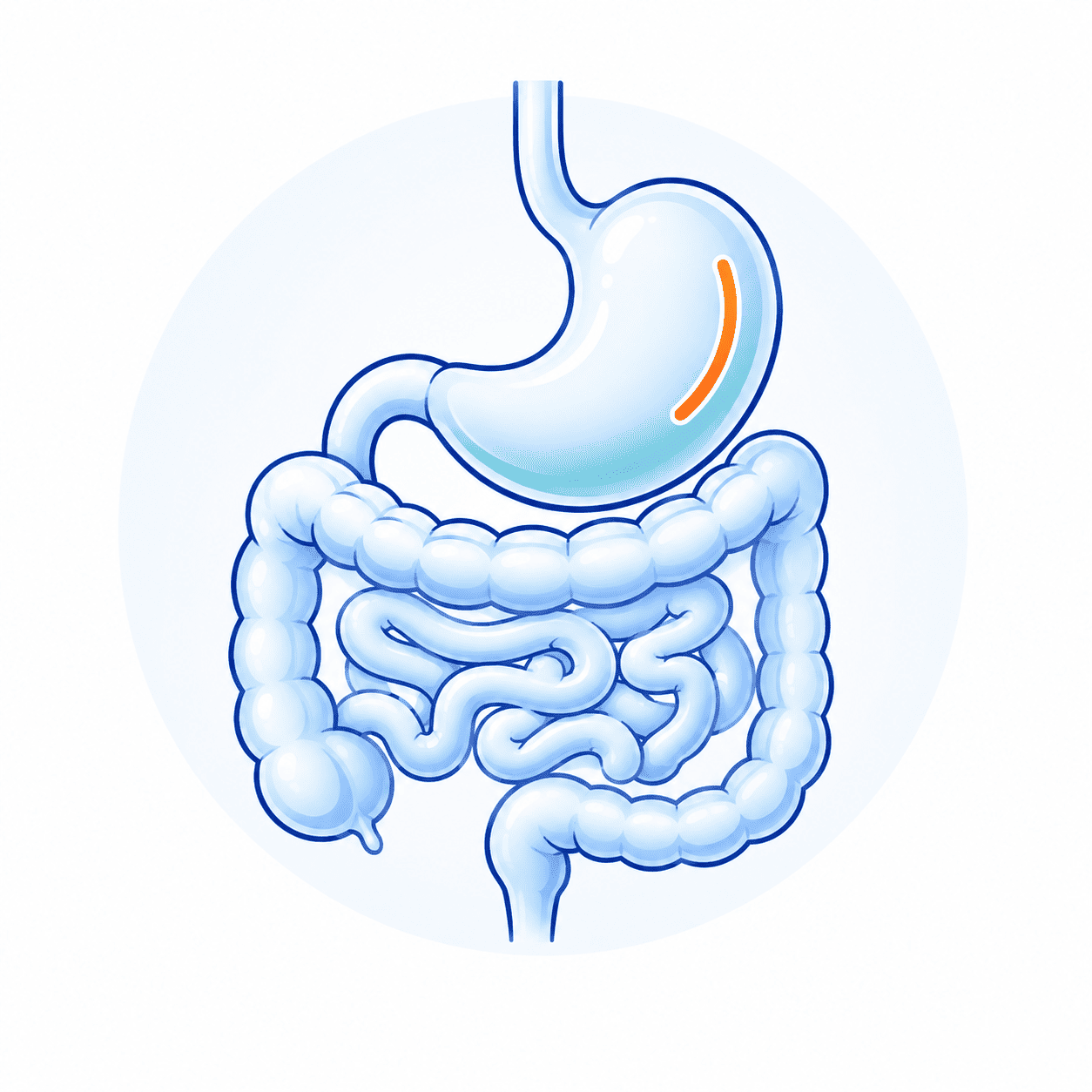 GI & Bariatric