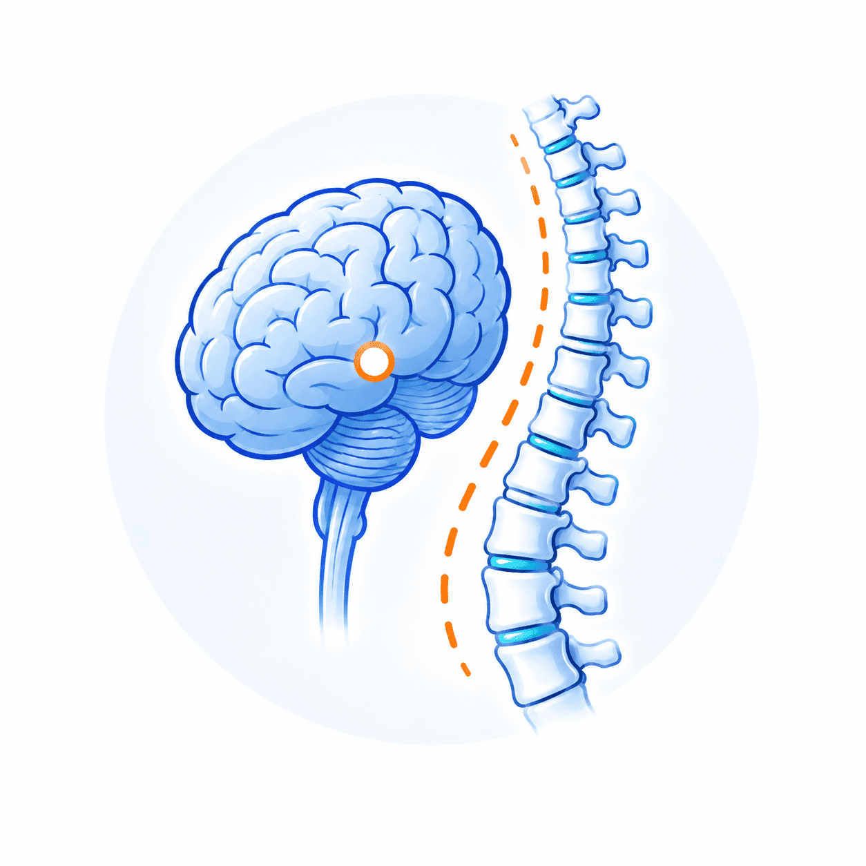 Neuro / Spine