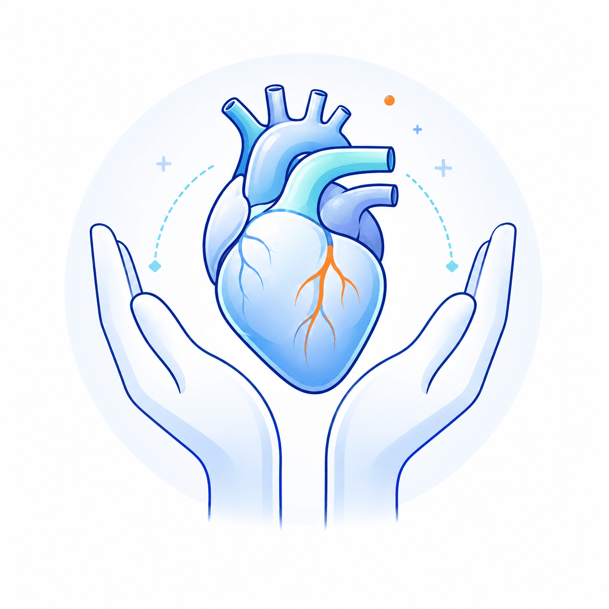 Organ Transplant